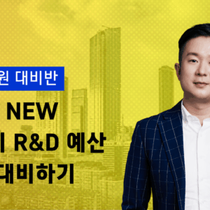 AI 정부지원 R&D 강의